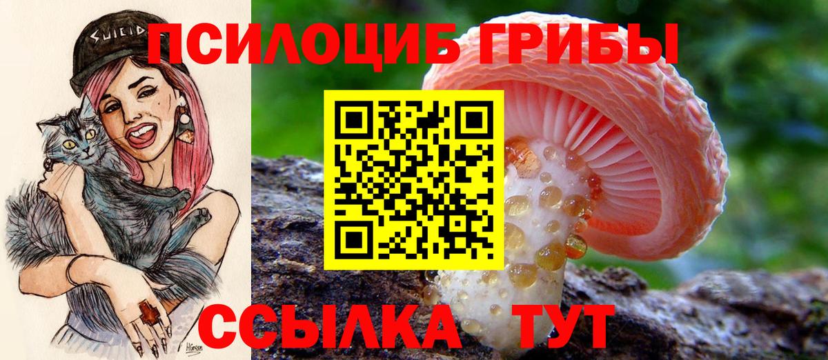 Галлюциногенные грибы Psilocybine cubensis  Вход с VPN  Хабаровск 